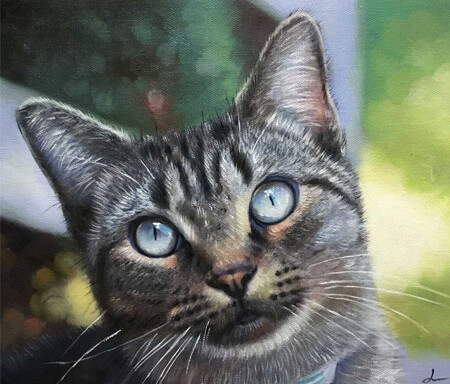cat