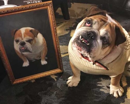 Custom hand painted pet portrait for dog