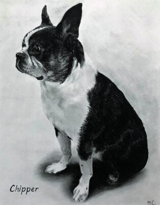 custom hand painted pet portrait for dog