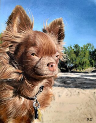 custom hand painted pet portrait for dog