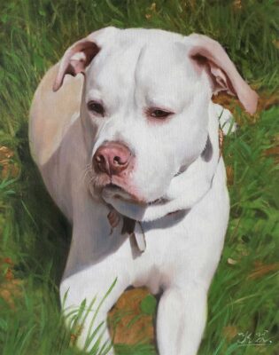 custom dog portrait painting