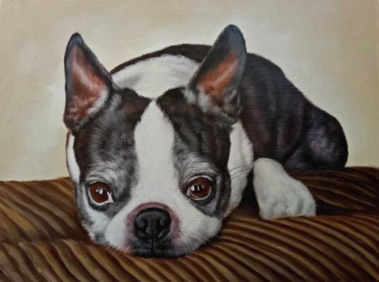 custom dog portrait painting