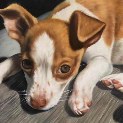 Custom dog portrait oil painting