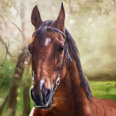 Custom portraits oil painting for horse & people