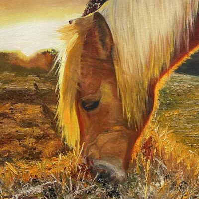 Custom portraits oil painting for horse & people