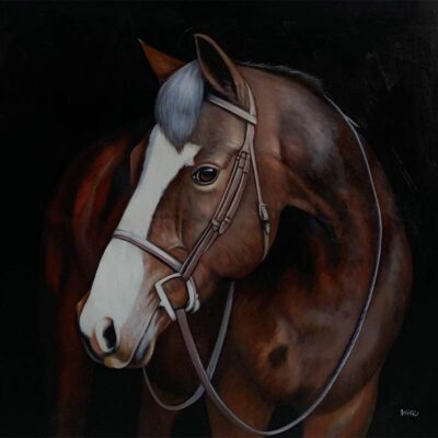 Custom portraits oil painting for horse & people