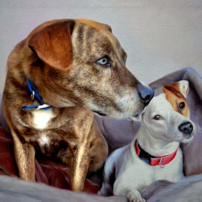 Custom pet portraits oil painting
