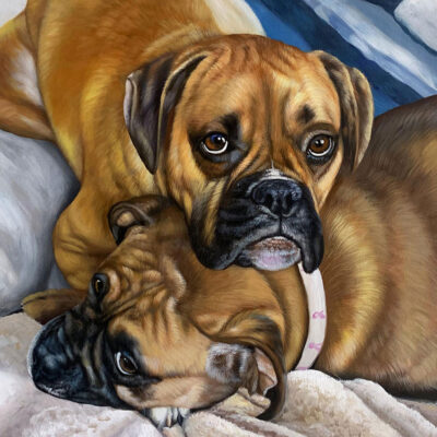 Custom pet portraits oil painting