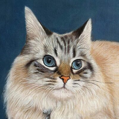 Custom cat portraits oil painting
