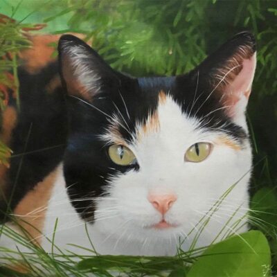 Custom cat portraits oil painting
