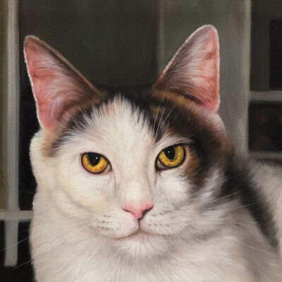 Custom cat portraits oil painting