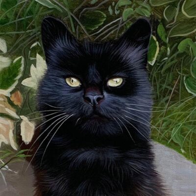 Custom cat portraits oil painting
