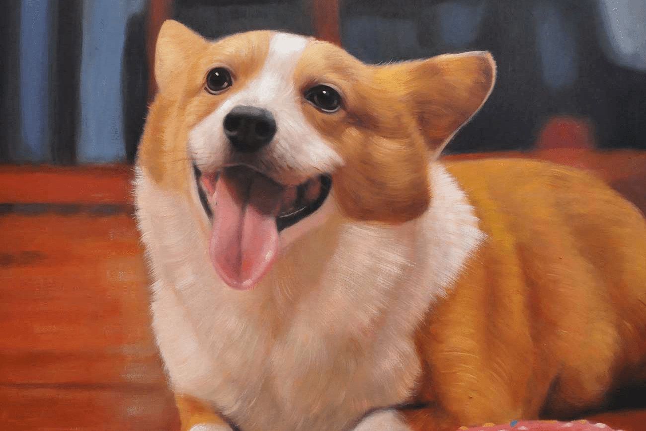 Pet Portrait