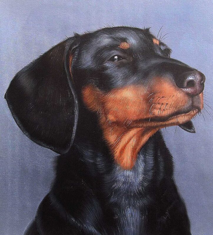 custom pet portraits