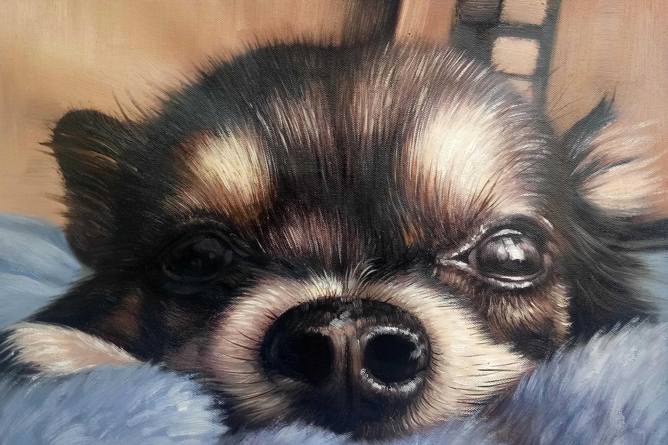 custom pet portraits