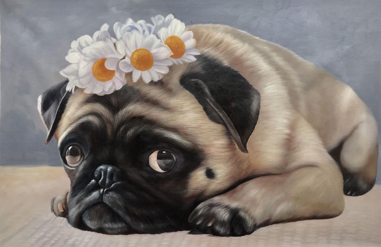 custom pet portraits