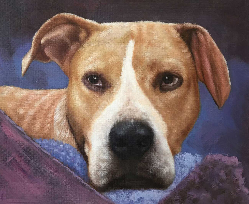 custom pet portraits