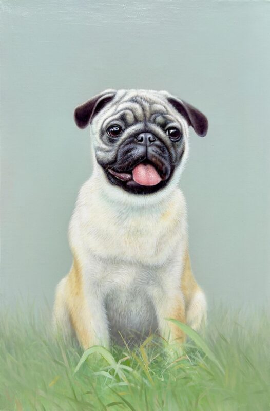 custom pet portraits