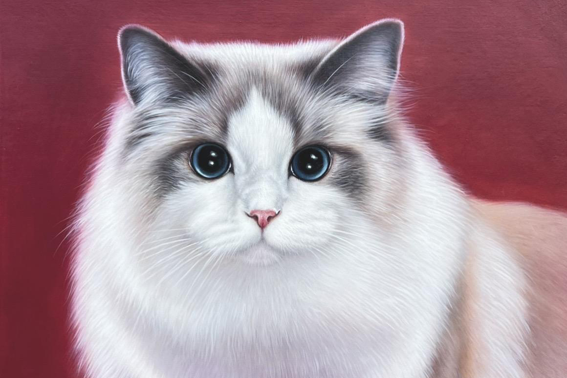custom pet portraits