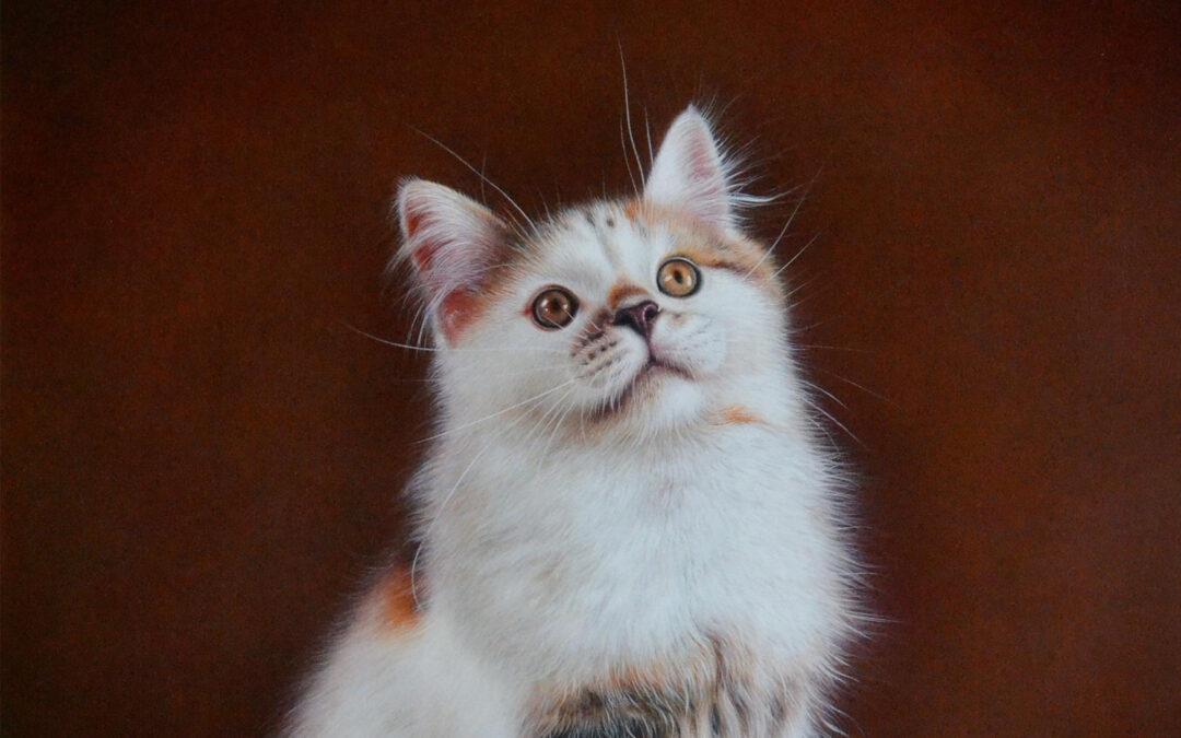 How Much Does a Portrait Usually Cost?